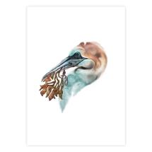 Nesting gannet mounted art print product photo