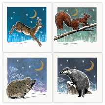 Night-time adventure woodland wildlife Christmas cards - pack of 20 product photo