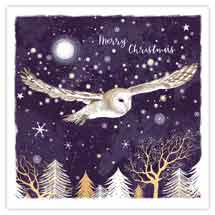 Owl and forest RSPB charity Christmas cards - pack of 10 product photo