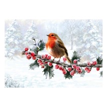 Proud robin redbreast RSPB charity Christmas cards - 10 pack product photo
