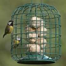 RSPB Suet feeder and guardian product photo