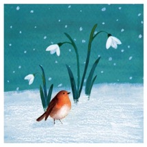 Robin and snowdrops RSPB charity Christmas cards - 10 pack product photo