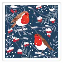 Robins and berries charity Christmas cards - pack of 10 product photo