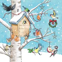 Rockin' around the RSPB Christmas cards, pack of 10 product photo