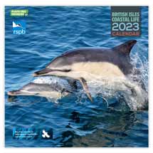 RSPB British Isles coastal calendar 2023 product photo