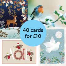 Fab forty bumper pack charity Christmas cards 2022 product photo