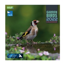 RSPB Garden birds square calendar 2022 product photo