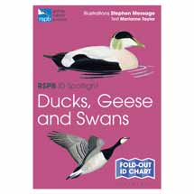 RSPB ID Spotlight - Identify ducks, geese and swans product photo
