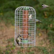 RSPB Ultimate bird feeder guardian, size medium product photo