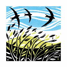 Swooping Swifts greeting card product photo