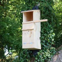 RSPB Tawny Owl nest box product photo