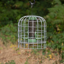 RSPB Ultimate nyjer seed feeder and guardian, small product photo