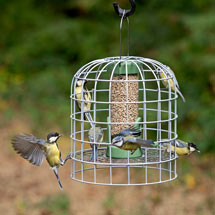 RSPB Ultimate seed feeder and guardian, small product photo