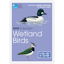 Wetland birds identifier chart - RSPB ID Spotlight series product photo
