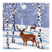 Woodcut winter RSPB charity Christmas cards - 10 pack product photo