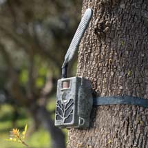 ZEISS Secacam 5 wide-angle nature camera product photo