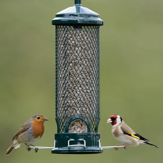 Squirrel Buster | Squirrel Proof Mini Seed Feeder - RSPB Shop