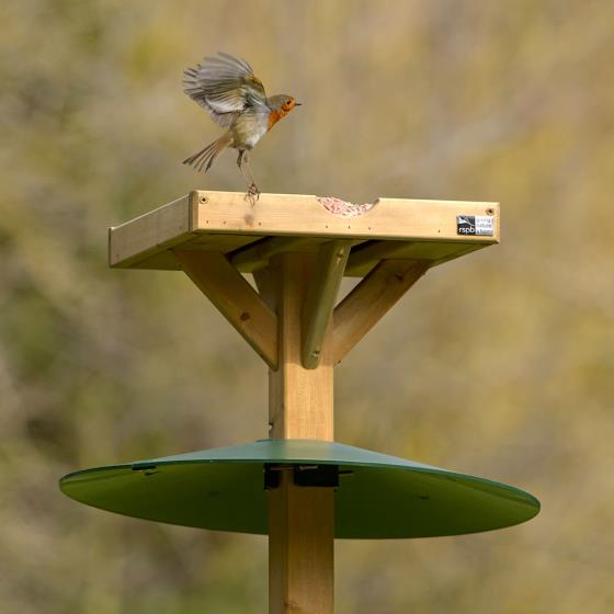 Bird Table Squirrel Baffle - RSPB Shop