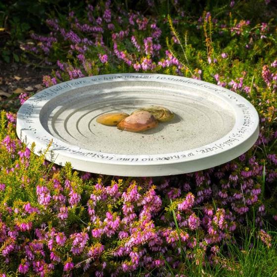 Shenstone Bird Bath Clayplas © Bird Bath RSPB Shop