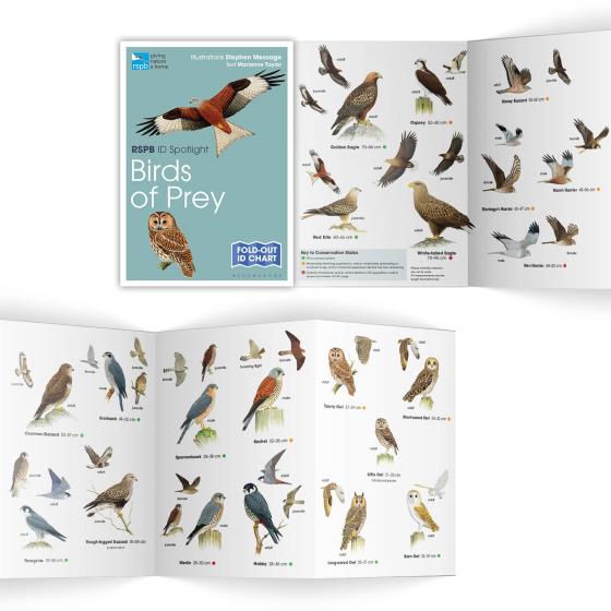 Birds of prey identifier chart RSPB ID Spotlight series RSPB Shop
