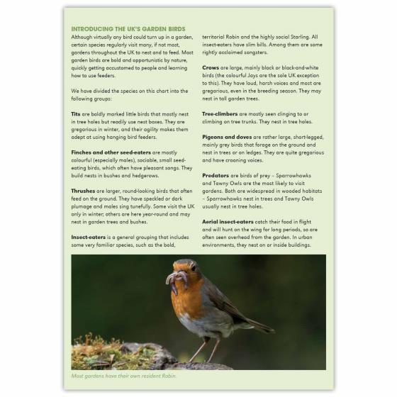 Garden birds identifier chart - RSPB ID Spotlight series - RSPB Shop