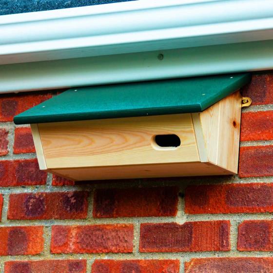 RSPB Swift nest box - Garden bird nest boxes - save nature while you shop