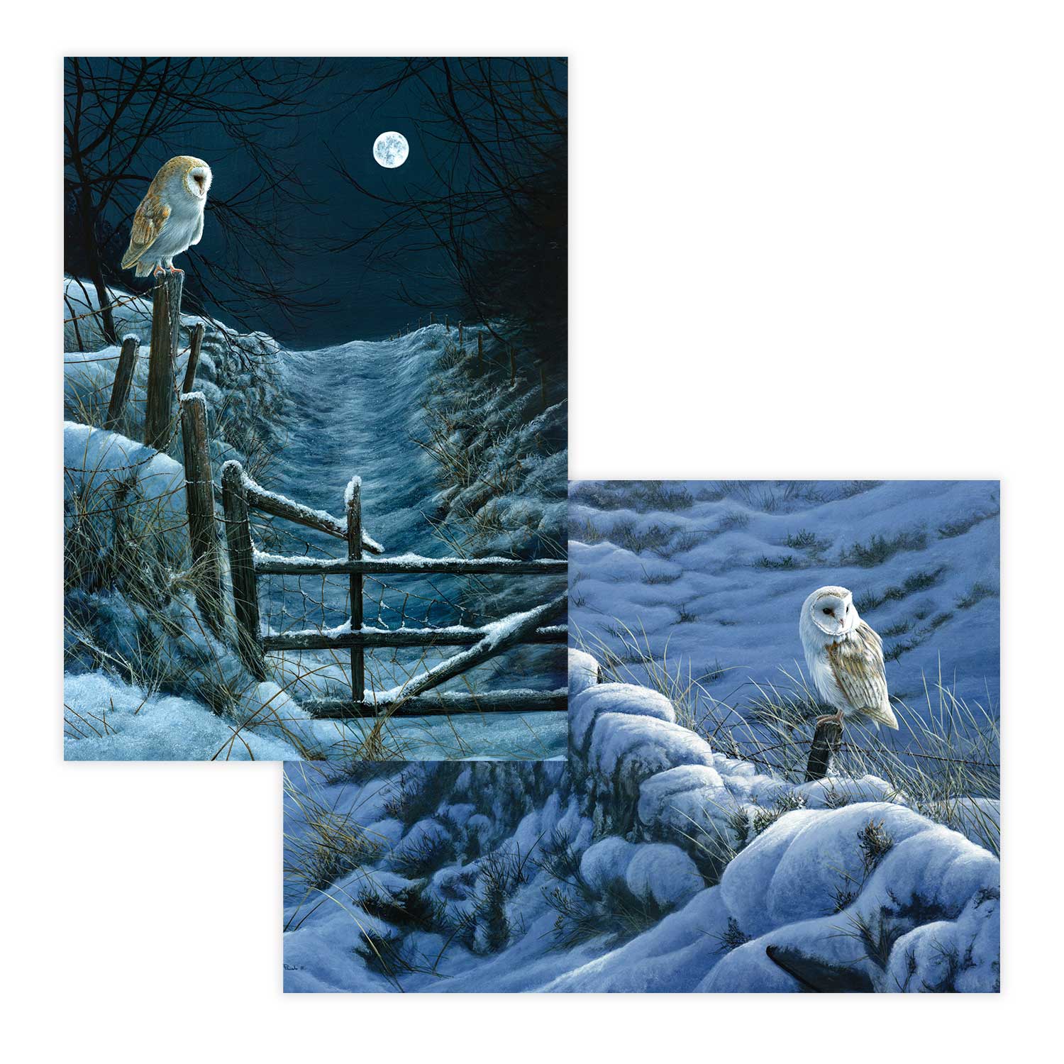 Moonlit path duo RSPB charity Christmas cards - 10 pack, 2 designs product photo