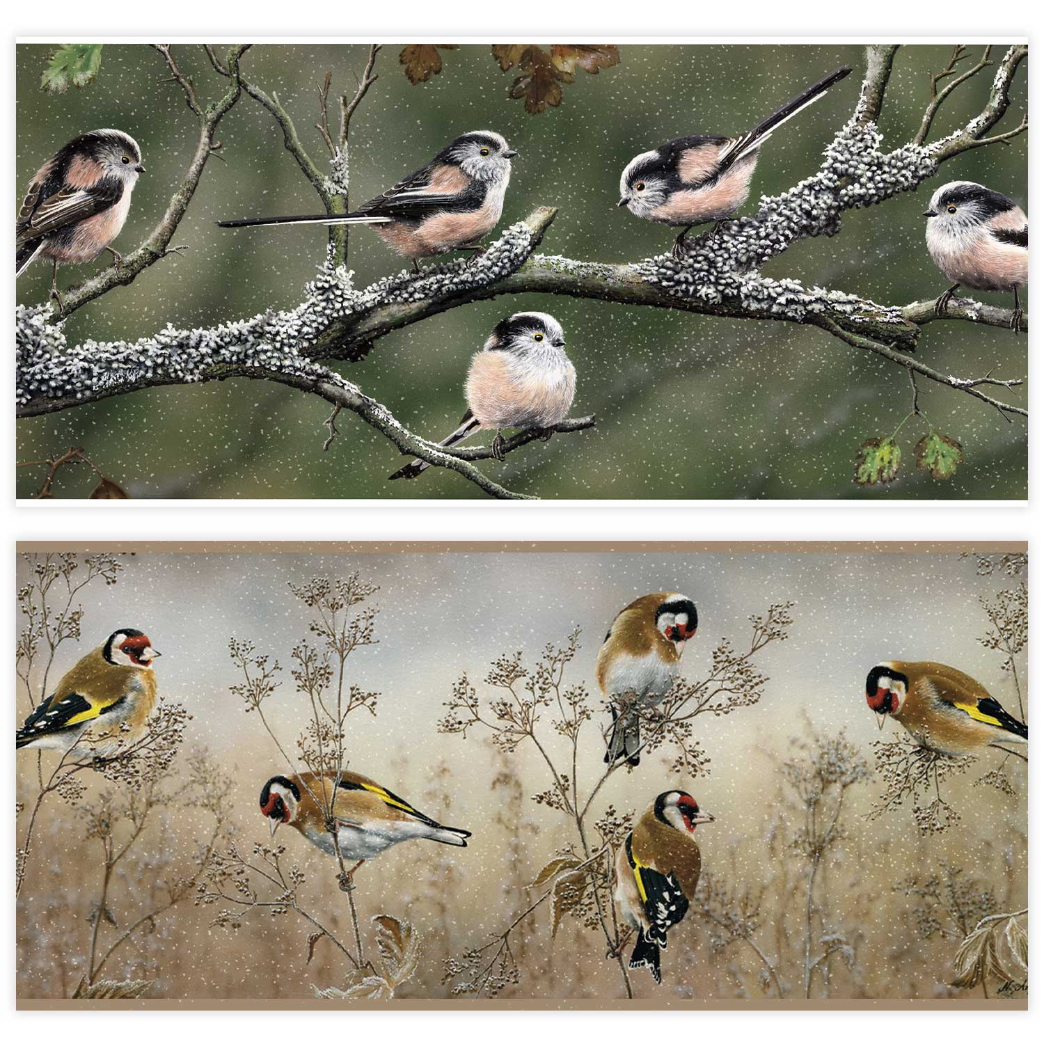 Festive flocks duo RSPB charity Christmas cards - 10 pack, 2 designs product photo