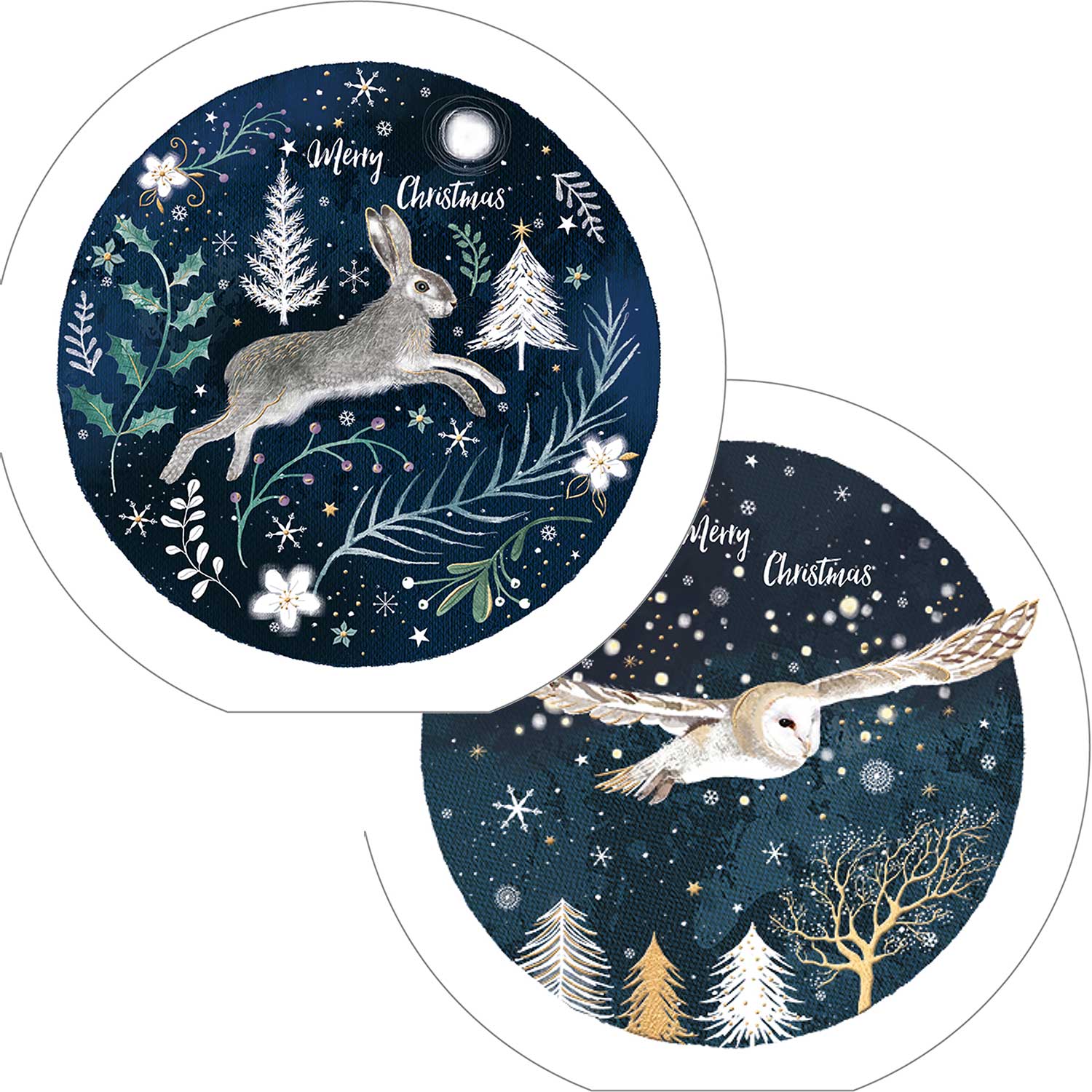 Moonlit Christmas duo RSPB charity Christmas cards - 10 pack, two designs product photo