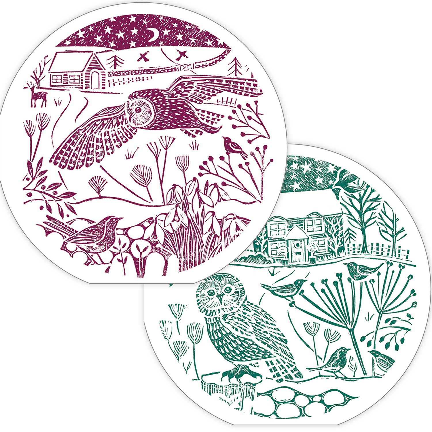 Winter owls duo RSPB charity Christmas cards - 10 pack, two designs product photo