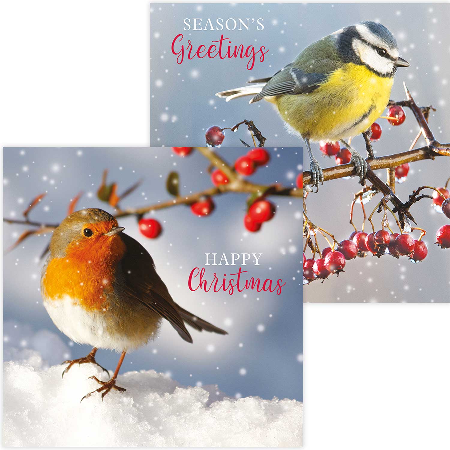 Winter birds duo RSPB charity Christmas cards - 10 pack, two designs product photo