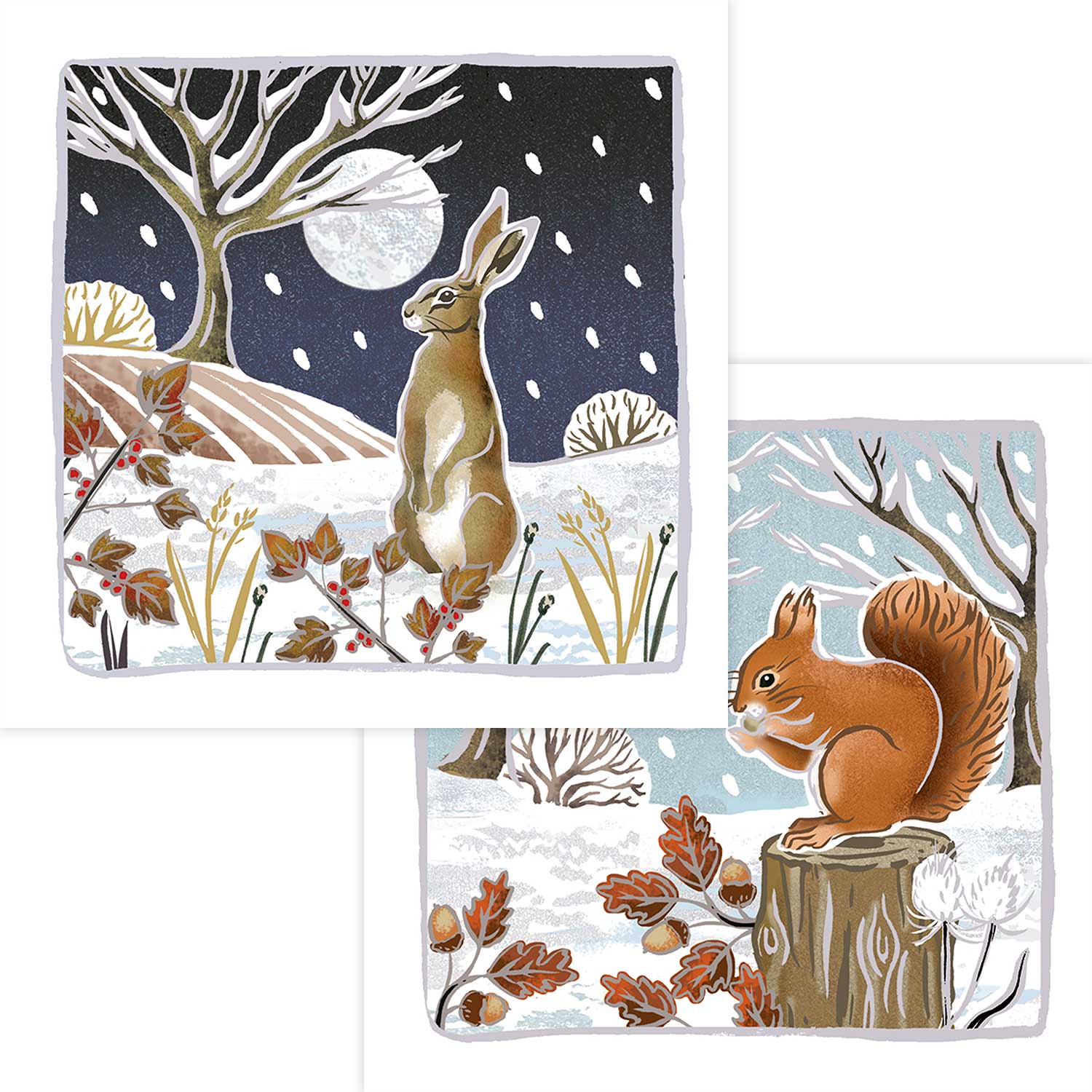 Woodland wonder duo RSPB charity Christmas cards - 10 pack, two designs product photo