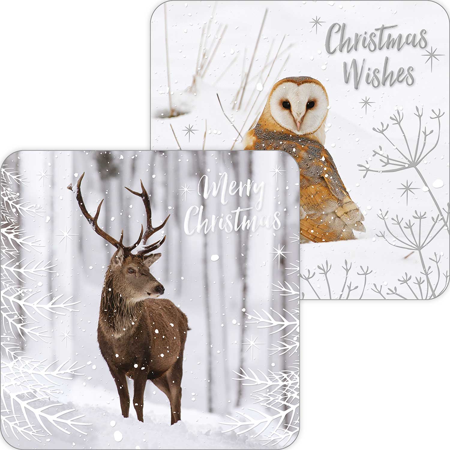 Winter wonder duo RSPB charity Christmas cards - 10 pack, two designs product photo