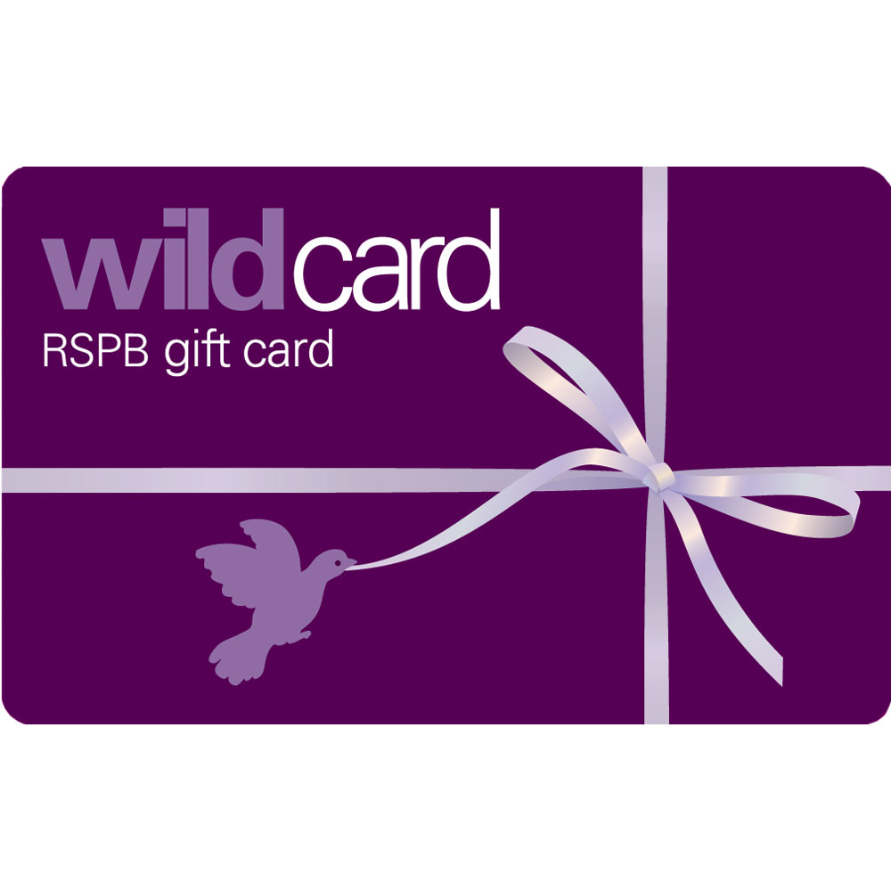 RSPB Shop gift card, purple design Gift cards save nature while you