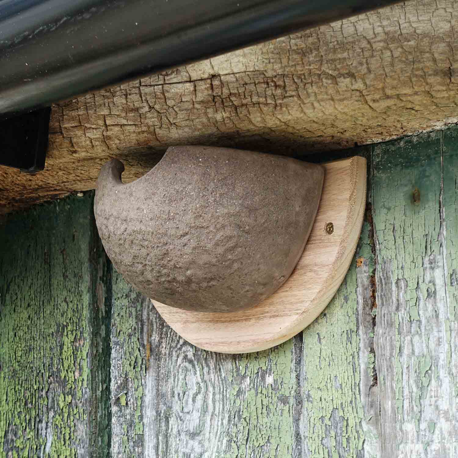 House Martin Nest Cup Terracotta RSPB Shop
