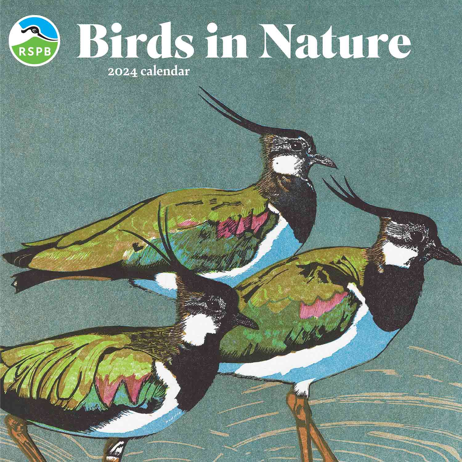Charity Calendars & Diaries 2024 Nature & Wildlife RSPB Shop
