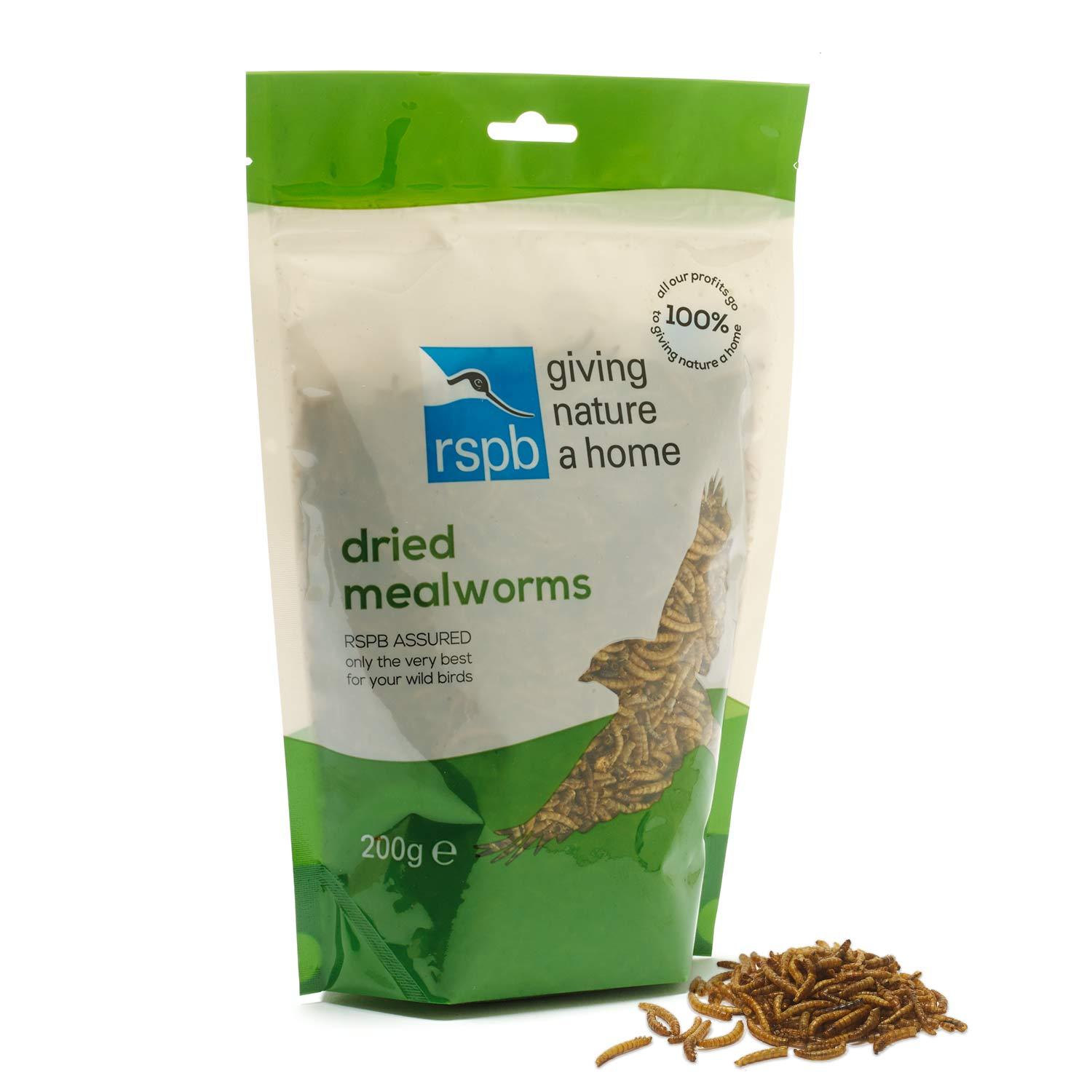 download dried mealworms