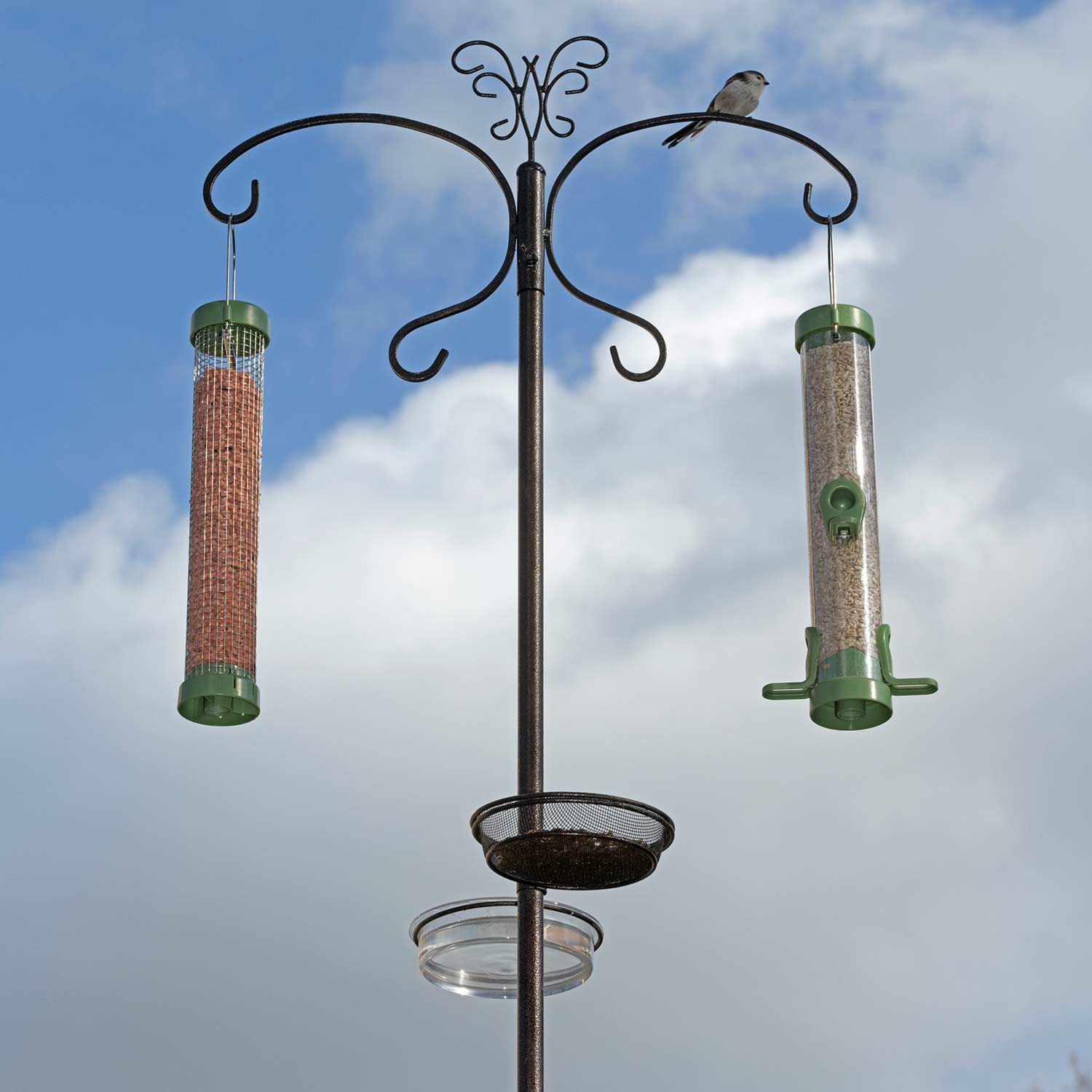 Bird Feeder Squirrel Guard PoleMounted Feeder RSPB Shop