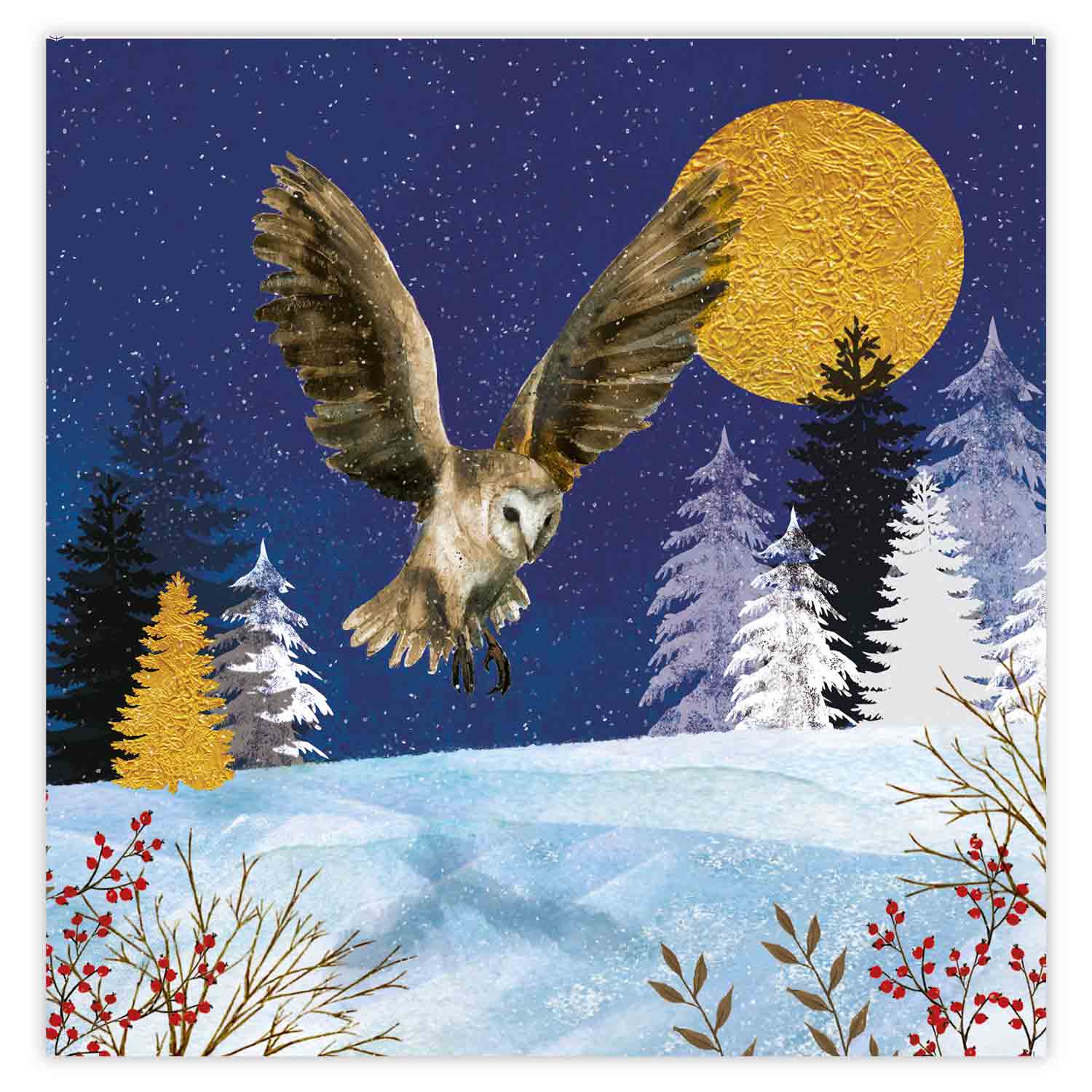 Charity Christmas Cards 2022, Fully Recyclable | RSPB Shop