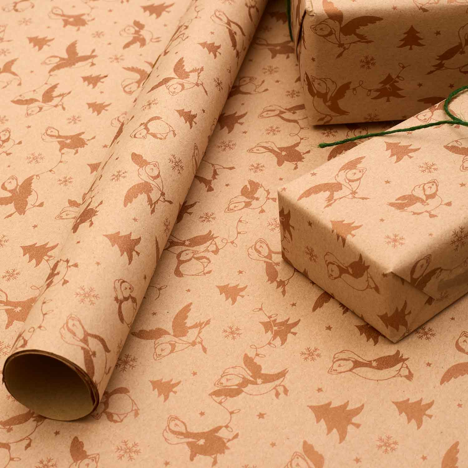 Recyclable Christmas Wrapping Paper & Eco Gift Bags | RSPB Shop