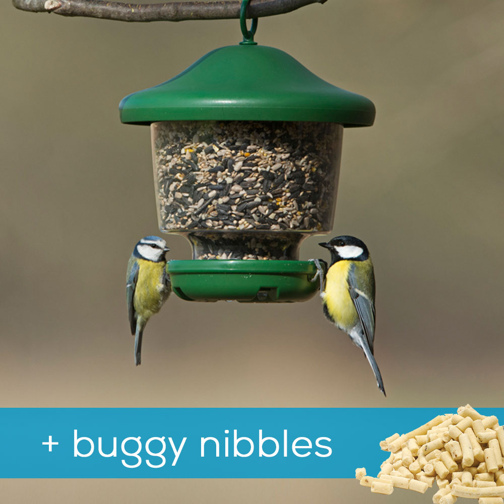 Sale Bird Feeders, Bird Food, Home & Gifts RSPB Shop