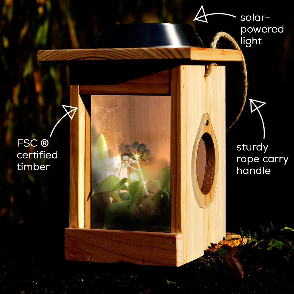 Bird Bath Range for Garden Birds RSPB Shop