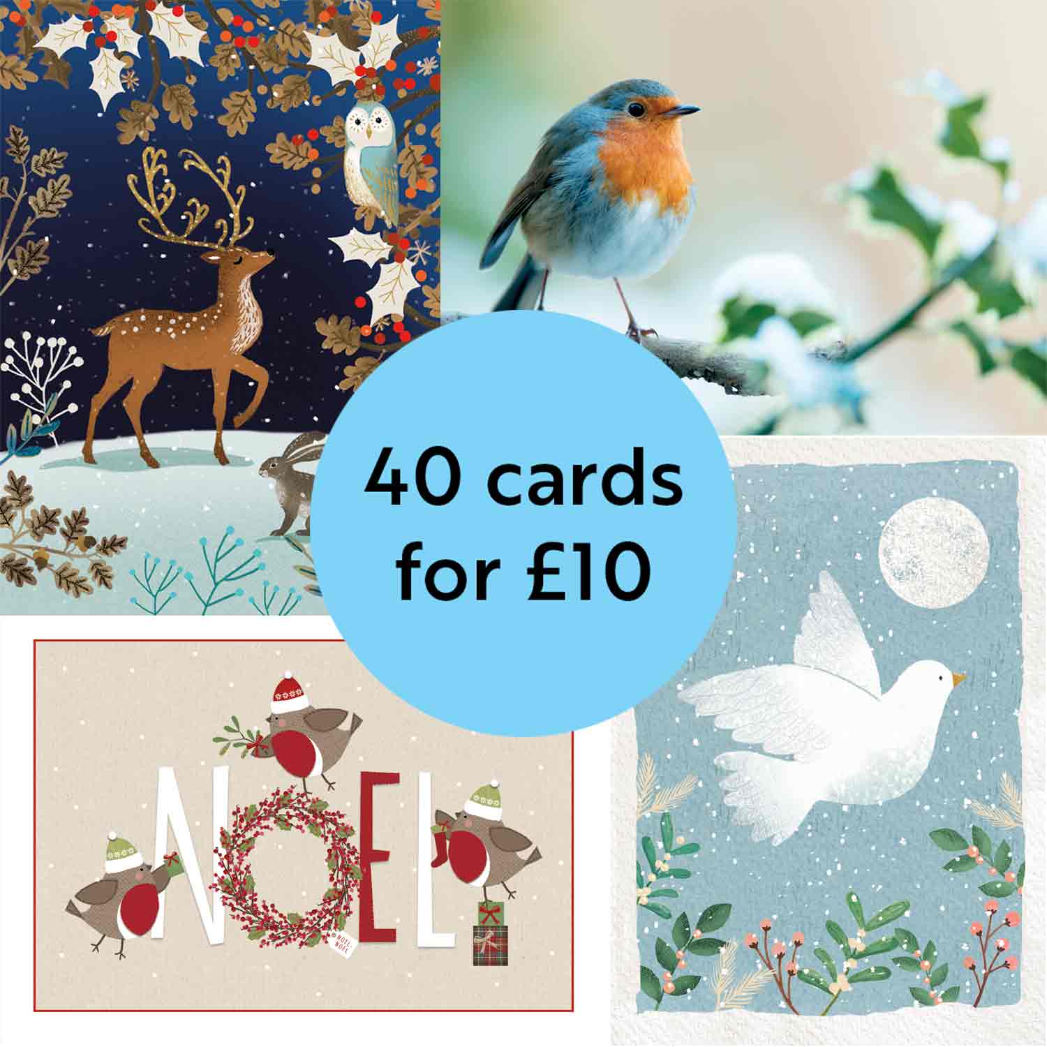 Charity Christmas Cards 2022, Fully Recyclable RSPB Shop