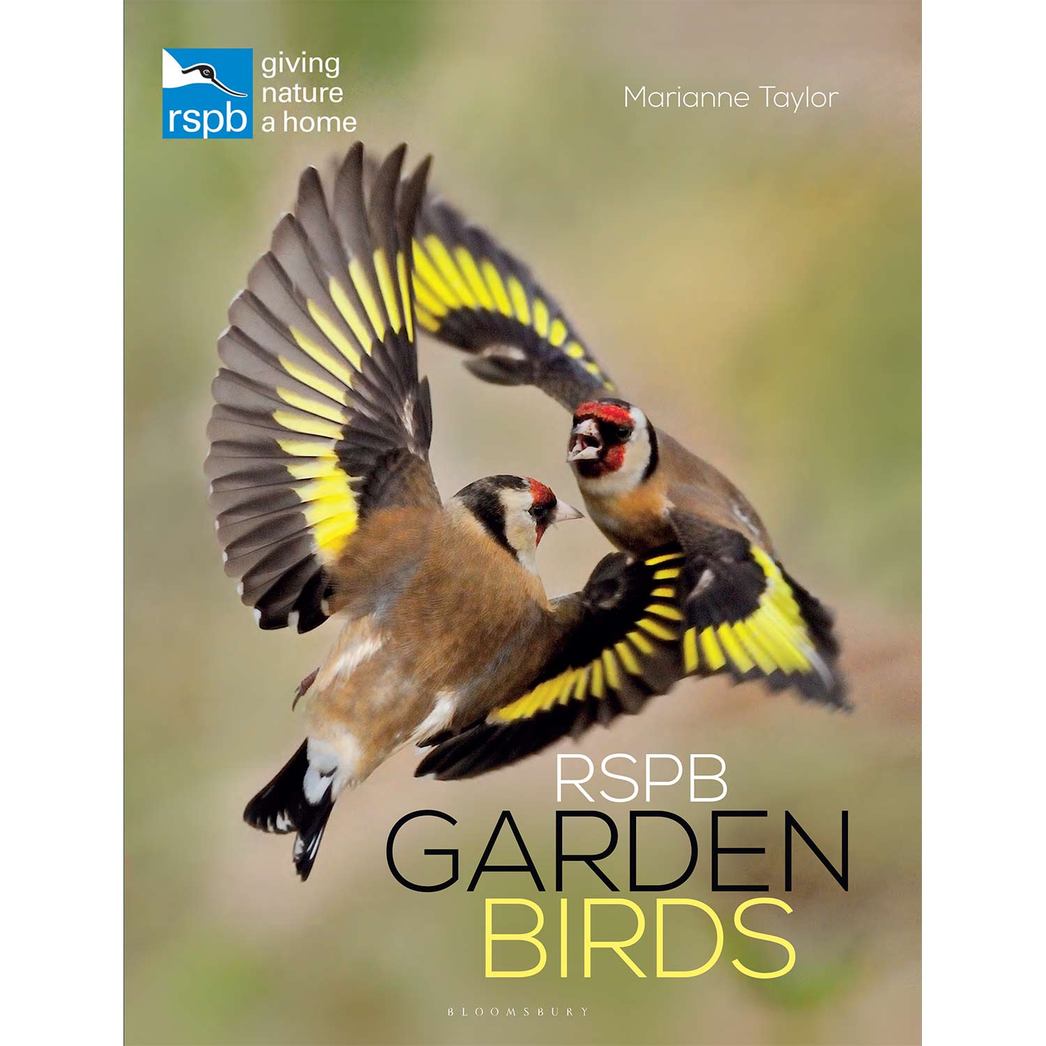 RSPB Pocket Birds Of Britain 5th Edition - RSPB Shop