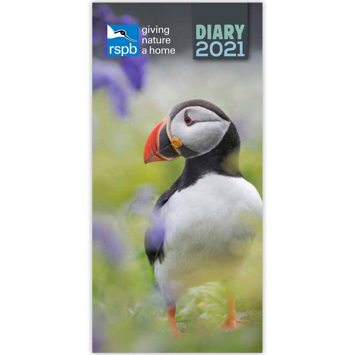 Echoes Ceramic Bird Bath RSPB Shop