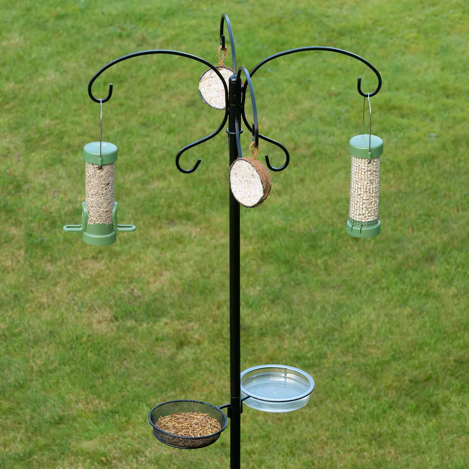 Bird Feeder Squirrel Guard PoleMounted Feeder RSPB Shop