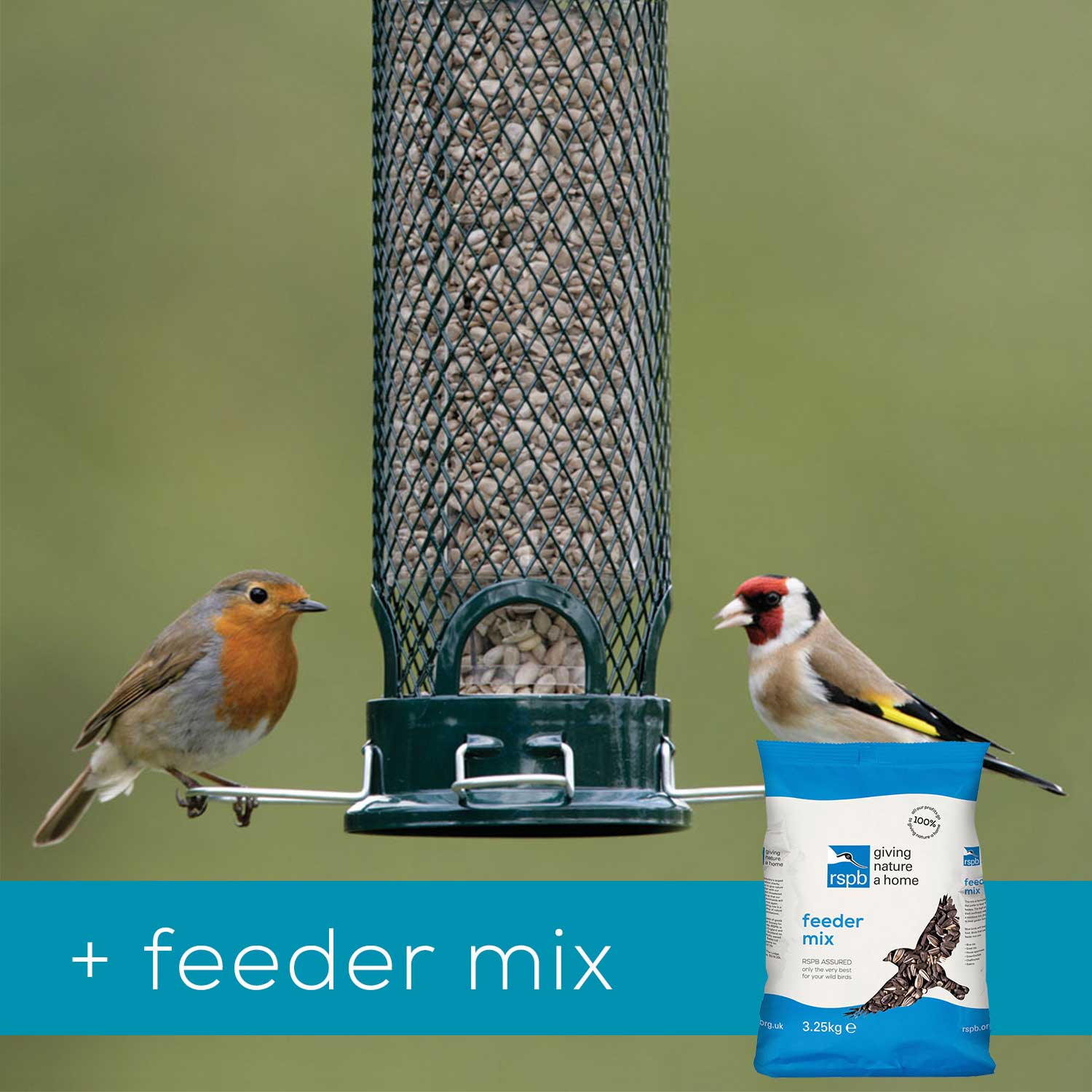 SquirrelProof Bird Feeders⼁AntiSquirrel Bird Feeders RSPB