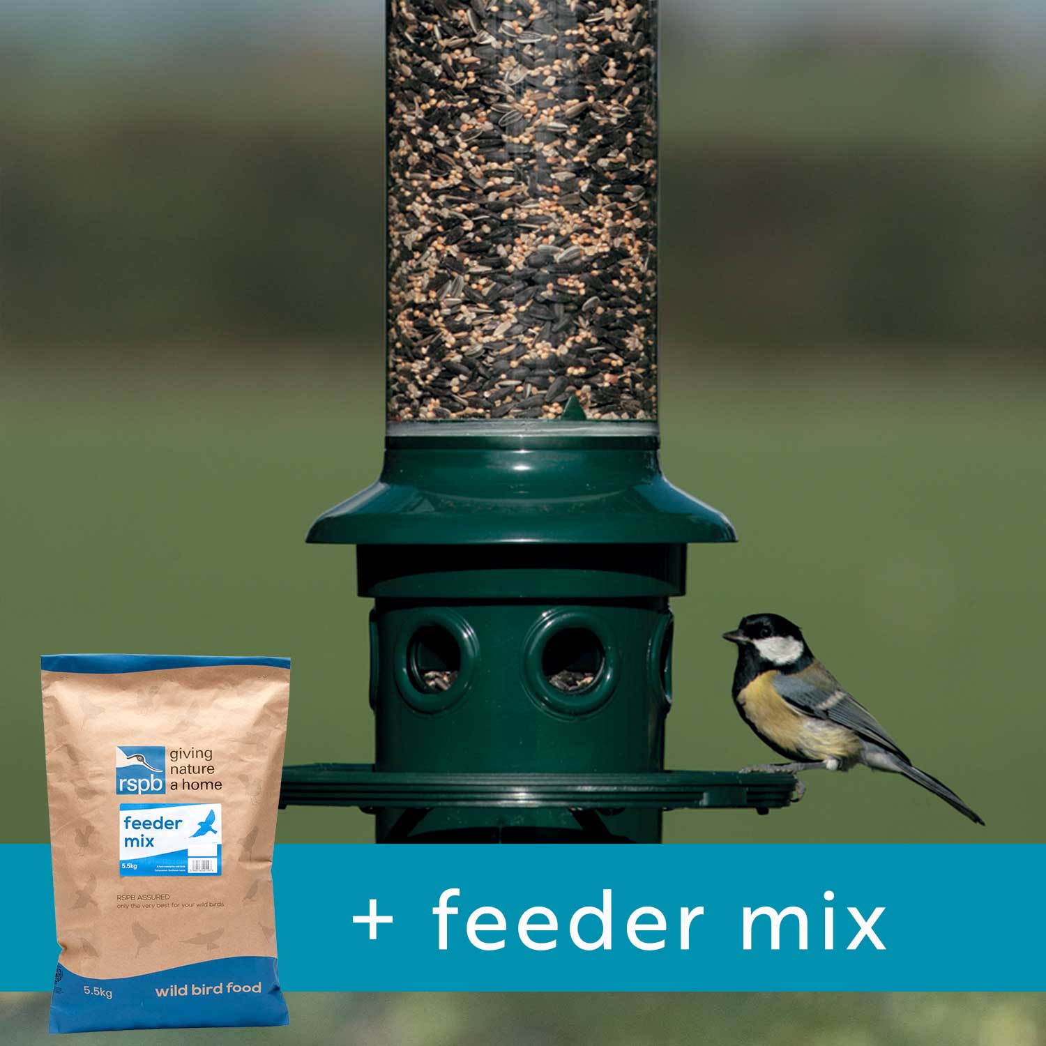 SquirrelProof Bird Feeders⼁AntiSquirrel Bird Feeders RSPB