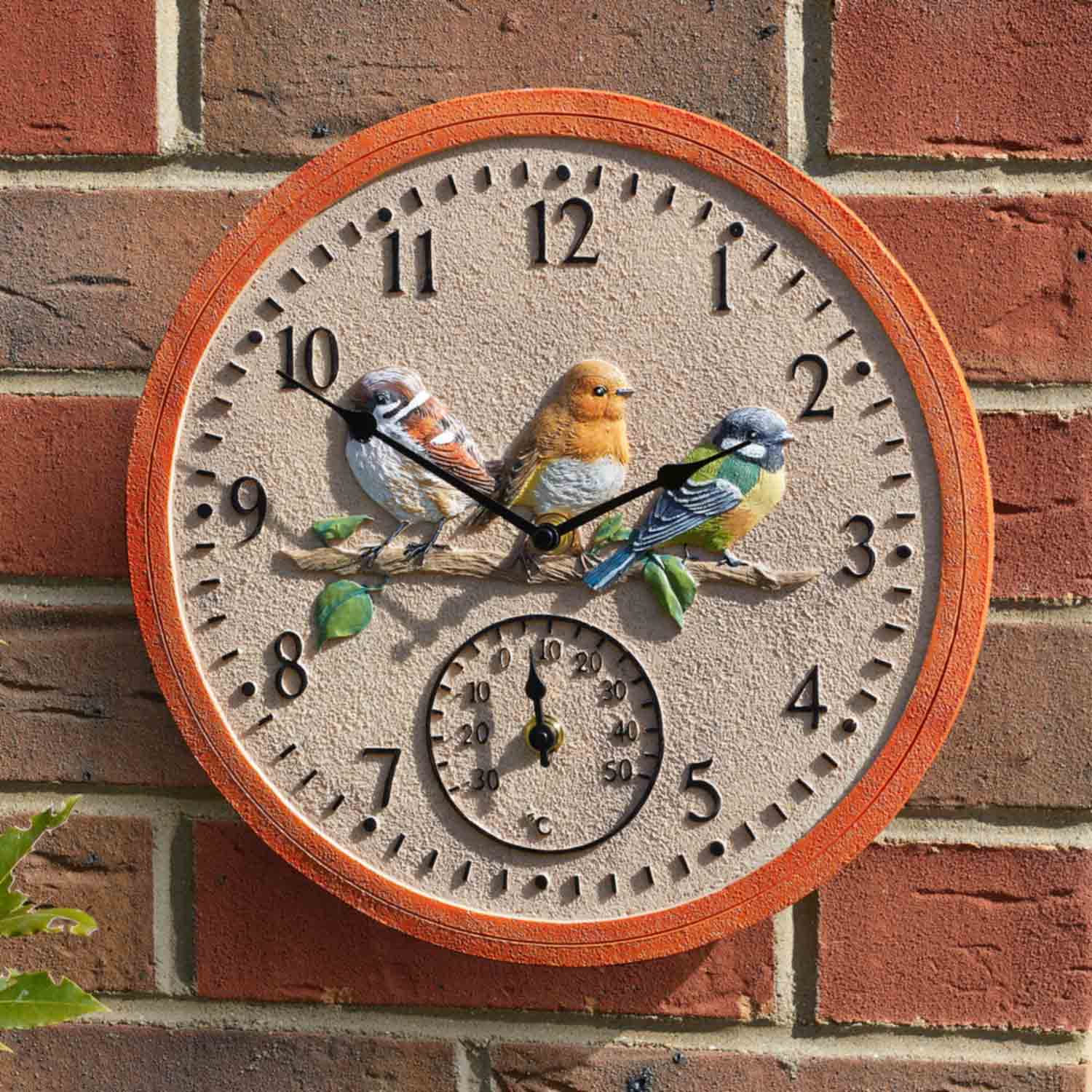 Bird Wall Clock with Thermometer RSPB Shop