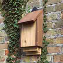 RSPB Burford bat box product photo